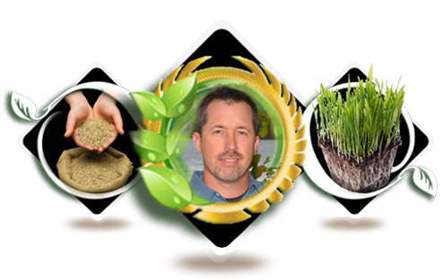 green control supply lawn care products